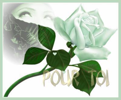 pour toi